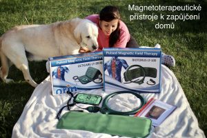 Magnetoterapie psů u Filípka (7)